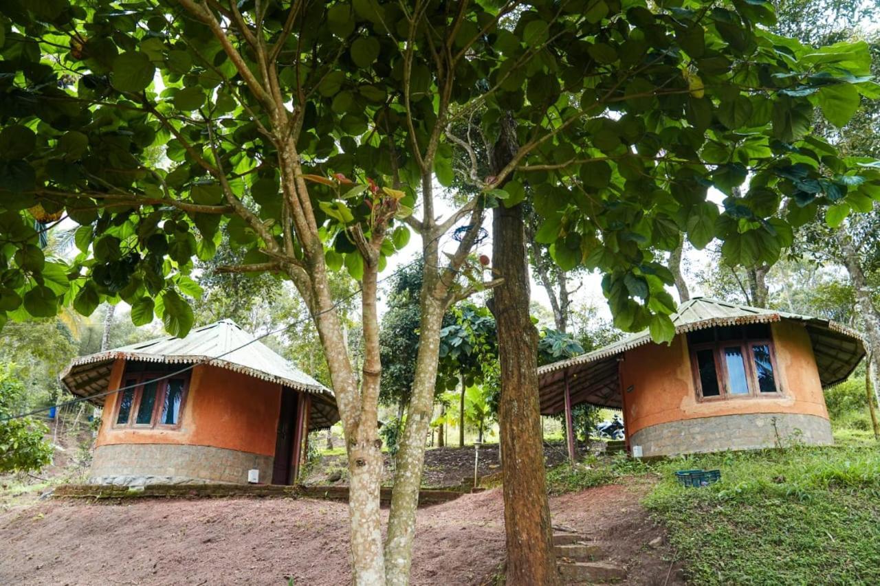 Punarjani Ayurvedic Resorts Ramakkalmedu Exteriör bild