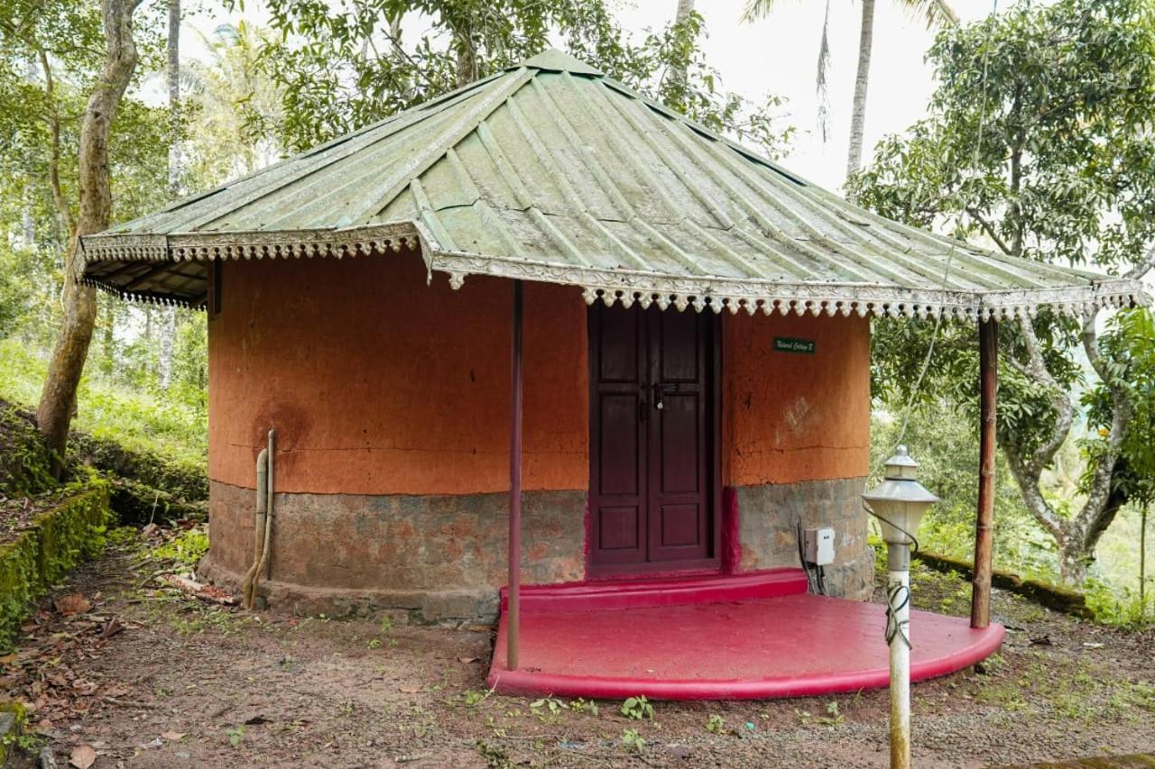 Punarjani Ayurvedic Resorts Ramakkalmedu Exteriör bild