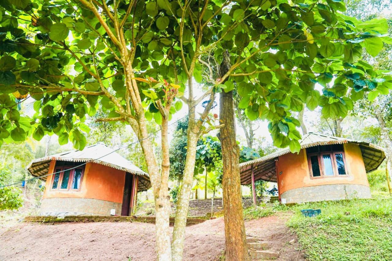 Punarjani Ayurvedic Resorts Ramakkalmedu Exteriör bild