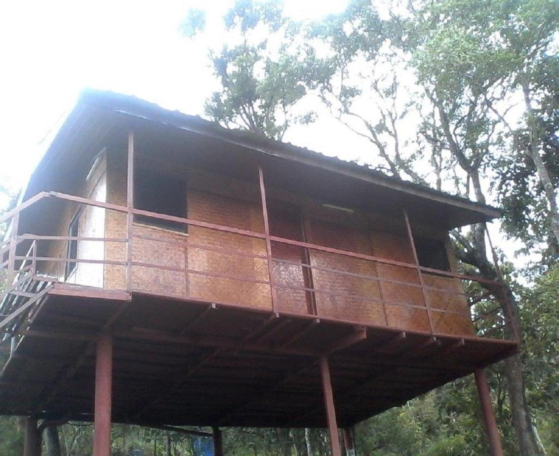 Punarjani Ayurvedic Resorts Ramakkalmedu Exteriör bild