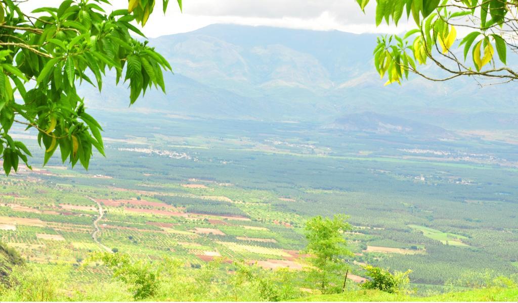 Punarjani Ayurvedic Resorts Ramakkalmedu Exteriör bild