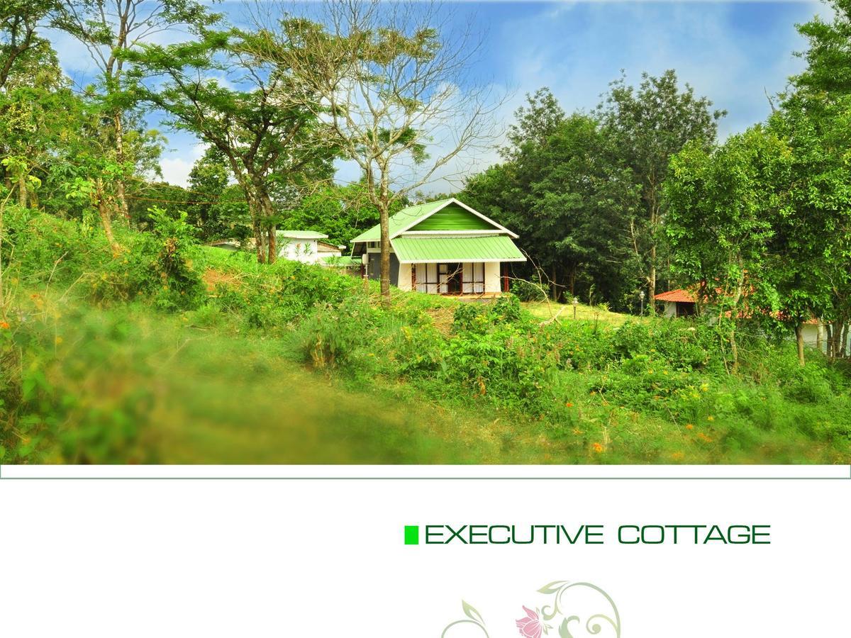 Punarjani Ayurvedic Resorts Ramakkalmedu Exteriör bild