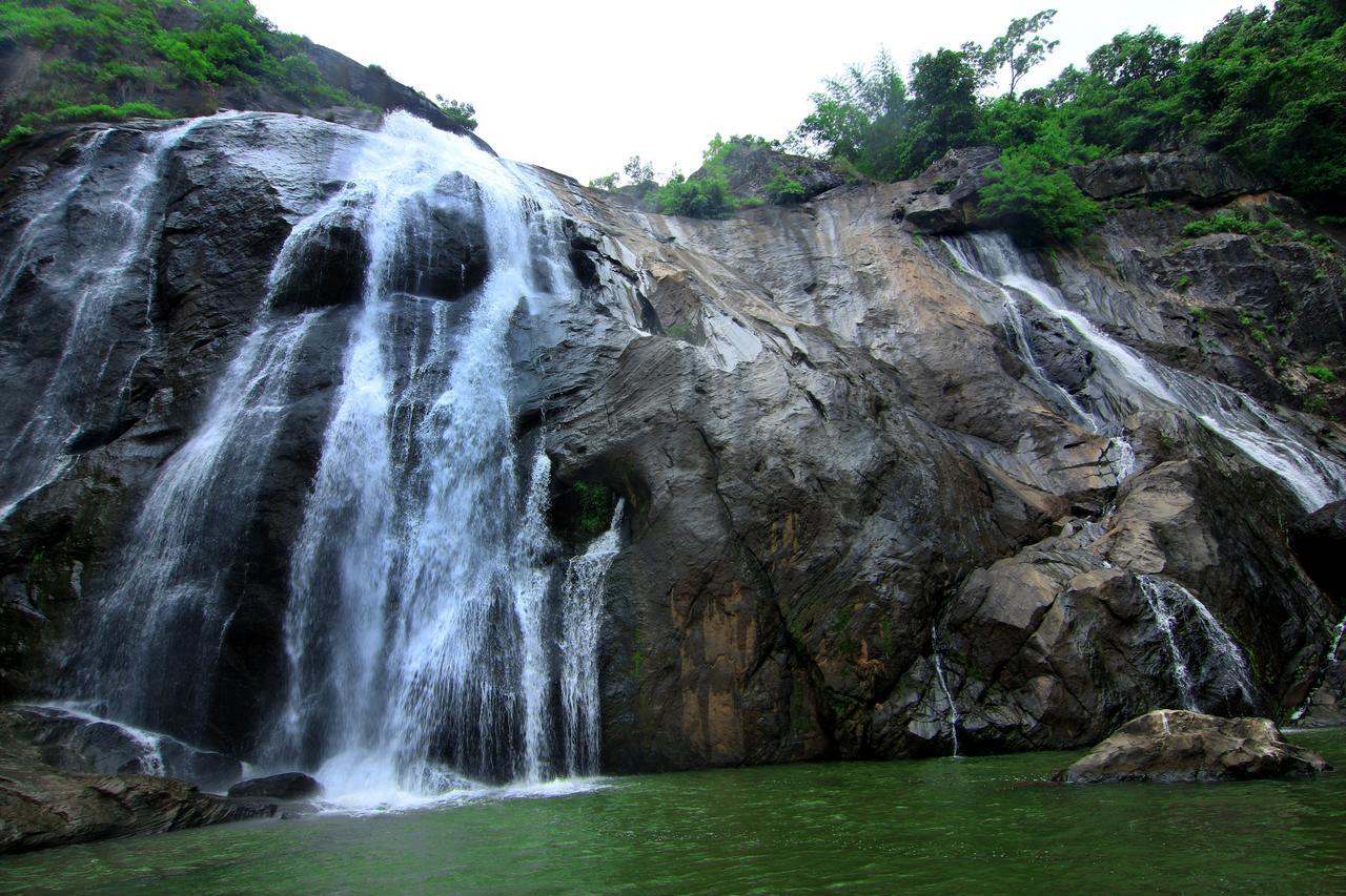 Punarjani Ayurvedic Resorts Ramakkalmedu Exteriör bild